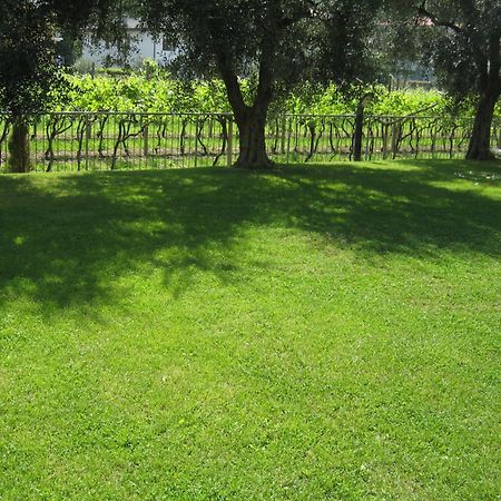 Casa Carla Aparthotel Torbole Sul Garda Екстериор снимка