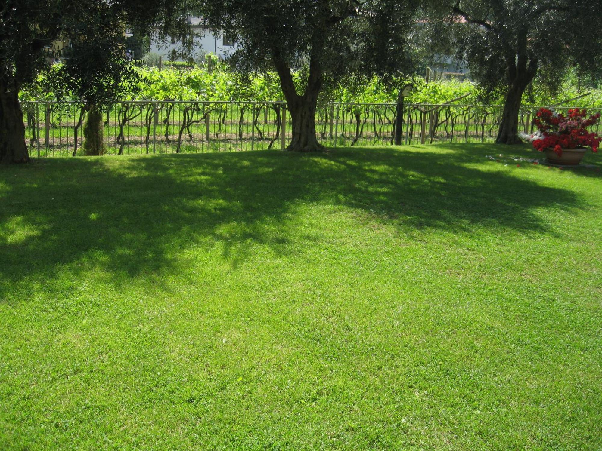 Casa Carla Aparthotel Torbole Sul Garda Екстериор снимка